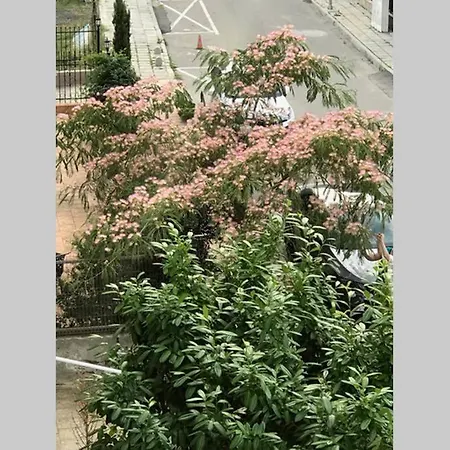 Διαμέρισμα Familienapartment Am In