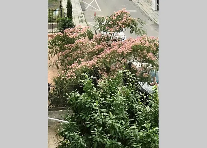 Διαμέρισμα Familienapartment Am In